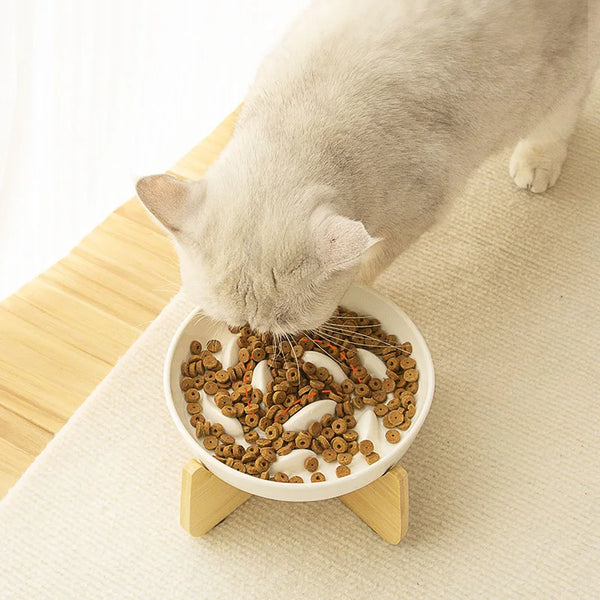 Bol Ludique Anti-Vomissement pour Chat