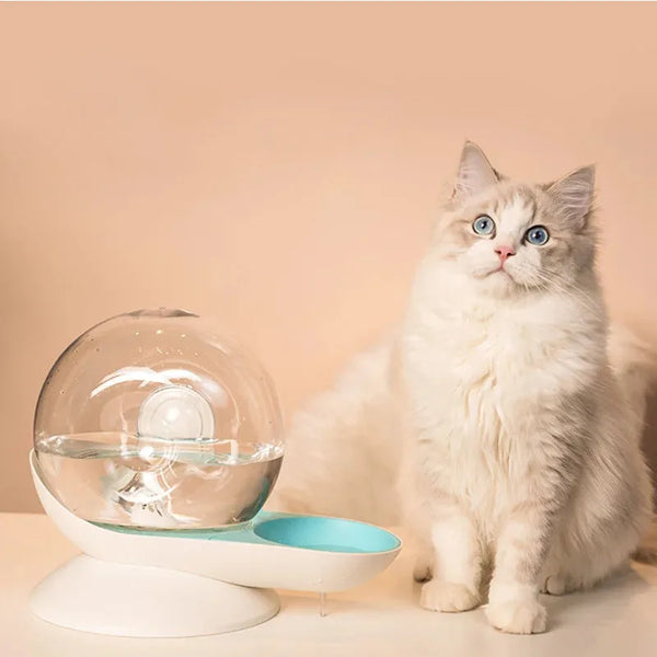 Fontaine Magique pour Animaux